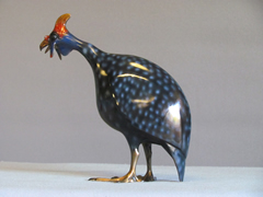 Guinea Fowl